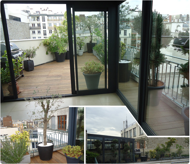 terrasse bois exotique ipe paris toit