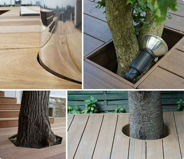 arbre inséré terrasse - réservation - découpe - terrasse bois végétaux