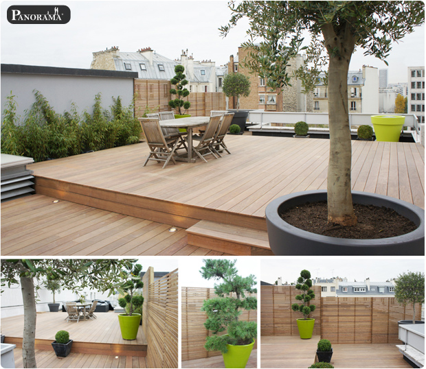 terrasse bois exotique ipe toit tuyau ventillation technique neuilly hauts de seine