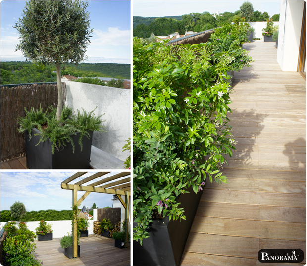 terrasse bois exotique cumaru saint coud pergola vegetaux bacs