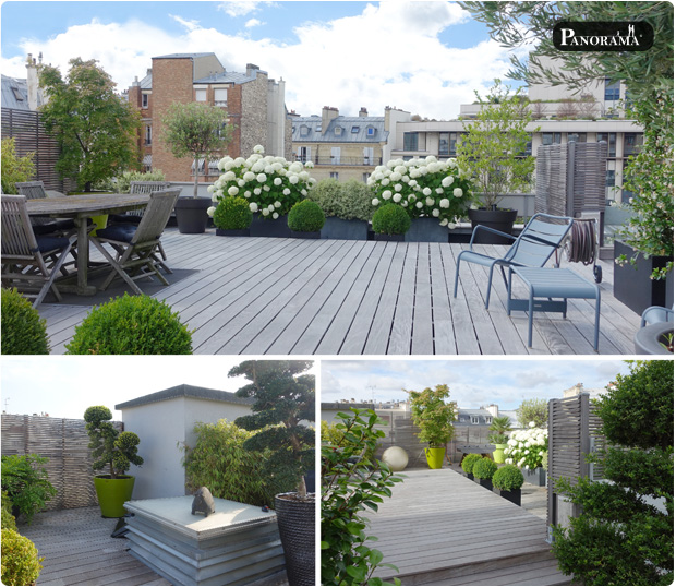 terrasse en ipé à neuilly sur seine végétaux terrasse ilex hortensia panorama terrasses