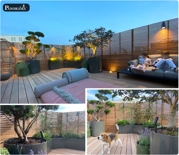 toit terrasse rooftop bois exotique ipe montreuil vegetaux bacs aluminium panorama terrasses